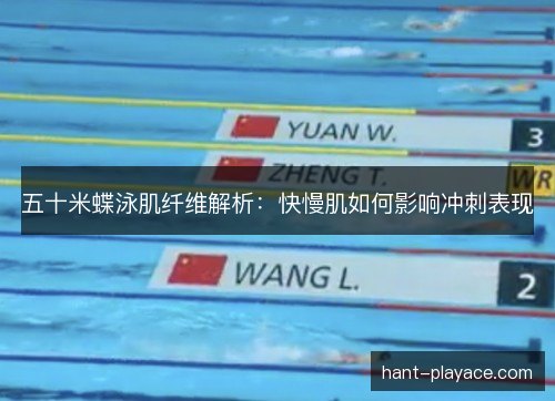 五十米蝶泳肌纤维解析：快慢肌如何影响冲刺表现