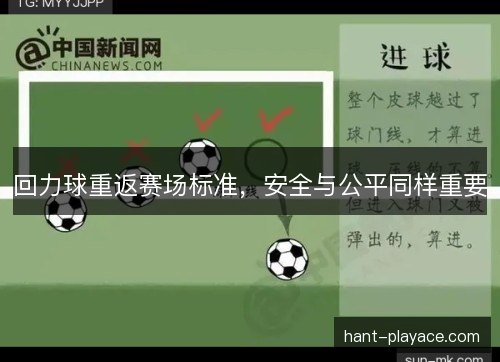 回力球重返赛场标准，安全与公平同样重要